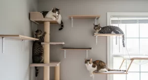 10 Ideias Criativas de Enriquecimento Ambiental para Gatos Domésticos